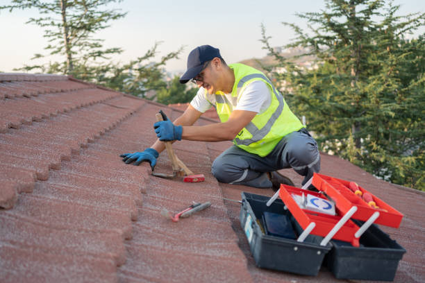 Best Roof Gutter Cleaning  in Grape Creek, TX